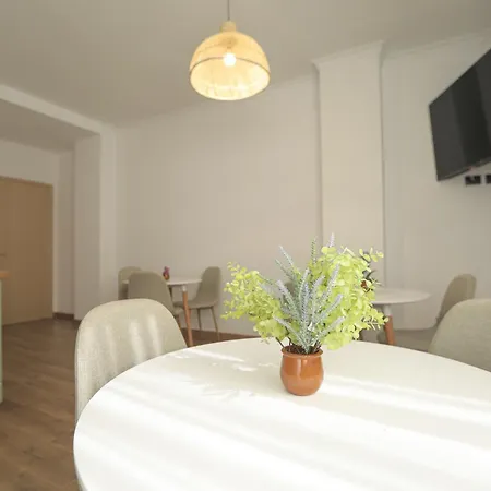 Nidum Harmony טיראנה